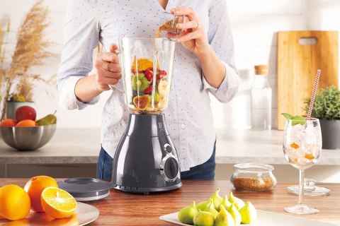 BERLINGER HAUS BLENDER KIELICHOWY MIKSER BERLINGER HAUS BH-9284 BERLINGER HAUS BLENDER KIELICHOWY MIKSER BERLINGER HAUS BH-9284