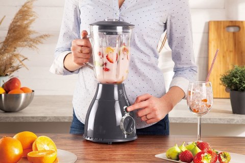 BERLINGER HAUS BLENDER KIELICHOWY MIKSER BERLINGER HAUS BH-9284 BERLINGER HAUS BLENDER KIELICHOWY MIKSER BERLINGER HAUS BH-9284