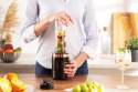 BERLINGER HAUS BLENDER KIELICHOWY SMOOTHIE BERLINGER HAUS BH-9065