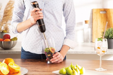 BERLINGER HAUS BLENDER RĘCZNY BERLINGER HAUS BH-9044 BERLINGER HAUS BLENDER RĘCZNY BERLINGER HAUS BH-9044