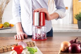 BERLINGER HAUS BLENDER ROZDRABNIACZ BERLINGER HAUS BH-9380