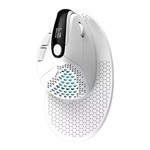 Delux Bezprzewodowa mysz pionowa Delux M618XSD BT+2.4G RGB (biała) Delux Bezprzewodowa mysz pionowa Delux M618XSD BT+2.4G RGB (biała)
