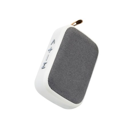 WEKOME D20 - Przenośny bezprzewodowy głośnik Bluetooth V5.0 (Biały) WEKOME D20 - Przenośny bezprzewodowy głośnik Bluetooth V5.0 (Biały)