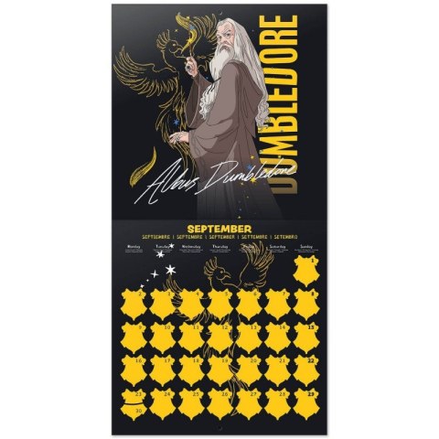Harry Potter - Kalendarz ścienny 2024 rok (30 x 30 cm) Harry Potter - Kalendarz ścienny 2024 rok (30 x 30 cm)