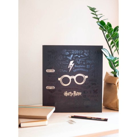 Harry Potter - Segregator A4 (2 ringi) Harry Potter - Segregator A4 (2 ringi)