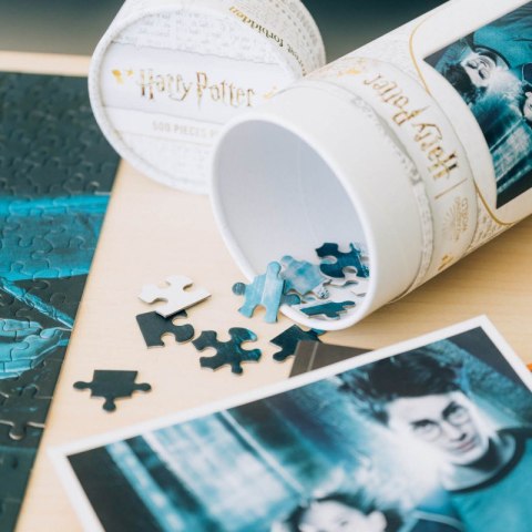 Harry Potter - Puzzle 500 elementów w ozdobnym pudełku (Harry Potter i Więzień Azkabanu) Harry Potter - Puzzle 500 elementów w ozdobnym pudełku (Harry Potter i Więzień Azkabanu)