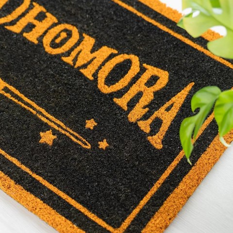 Harry Potter - Wycieraczka Alohomora (40 x 60 cm) Harry Potter - Wycieraczka Alohomora (40 x 60 cm)