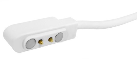 Giewont Kabel ładujący do Smartwatcha GIEWONT Dynamic GW230 GW300 GWK6 Giewont Kabel ładujący do Smartwatcha GIEWONT Dynamic GW230 GW300 GWK6
