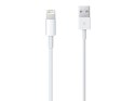 Apple Oryginalny kabel Apple Lightning 2m MD819ZM/A iPhone biały BOX