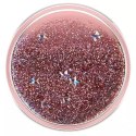 Popsockets Uchwyt i podstawka do telefonu Popsockets 2 Tidepool Rose
