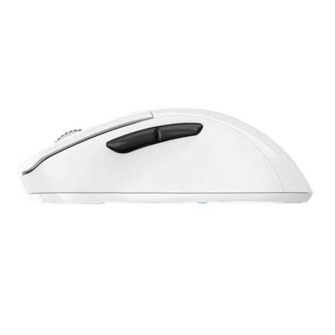 Dareu Bezprzewodowa Mysz Dareu A918X 16000 DPI Biała Dareu Bezprzewodowa Mysz Dareu A918X 16000 DPI Biała