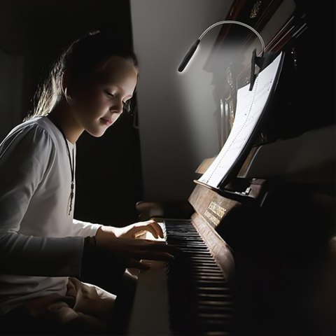 Alogy Lampka Alogy LED nocna na biurko biurkowa do czytania lampa regulowana giętka bezprzewodowa micro USB czarna Alogy Lampka Alogy LED nocna na biurko biurkowa do czytania lampa regulowana giętka bezprzewodowa micro USB czarna