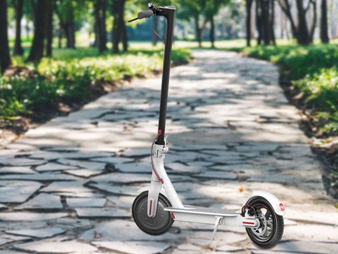 Alogy Opona Bezdętkowa Alogy 8.5" do Hulajnogi Xiaomi Mijia M365/ Pro/ M187 Alogy Opona Bezdętkowa Alogy 8.5" do Hulajnogi Xiaomi Mijia M365/ Pro/ M187