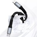 Dudao Dudao L10C kabel USB Typ C - USB Typ C PD100W czarny (L10C)