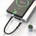 Dudao Dudao L10C kabel USB Typ C - USB Typ C PD100W czarny (L10C)