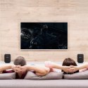 Tronsmart Tronsmart Element T6 Max 60 W przenośny bezprzewodowy głośnik Bluetooth 5.0 czarny (365144)