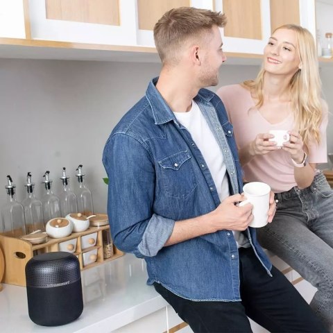 Tronsmart Tronsmart Element T6 Max 60 W przenośny bezprzewodowy głośnik Bluetooth 5.0 czarny (365144) Tronsmart Tronsmart Element T6 Max 60 W przenośny bezprzewodowy głośnik Bluetooth 5.0 czarny (365144)
