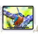 Hofi Folia ochronna hofi paper pro+ 2-pack ipad 10.2 2019 / 2020 / 2021 matte clear