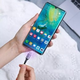 UGreen Ugreen kabel przewód USB Typ C - USB Typ C 5 A 100 W Power Delivery Quick Charge 3.0 FCP 480 Mbps 2 m szary (70429 US316)