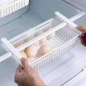 VILDE POJEMNIK ORGANIZER ROZSUWANY DO LODÓWKI POD PÓŁKĘ 731199